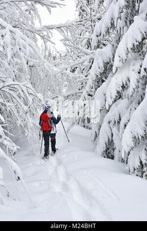 Donna con zaino rosso con le racchette da neve in una fitta foresta. La Baviera, Germania Foto Stock