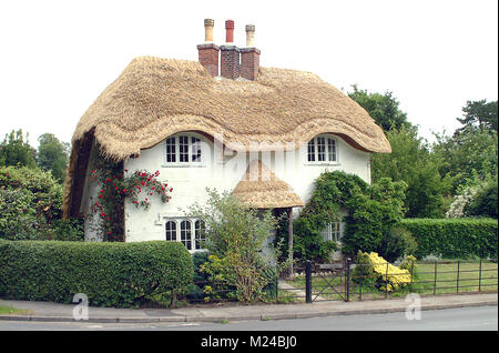 New Forest Cottage Foto Stock