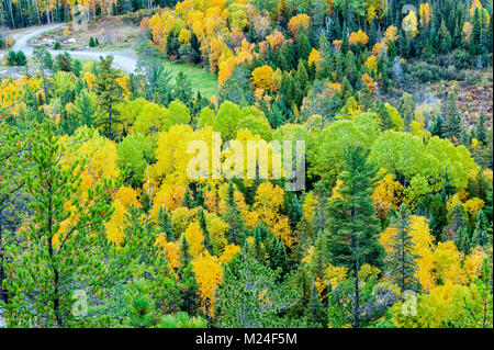 Un' antenna photograh della caduta dei colori in Ontario del nord Foto Stock