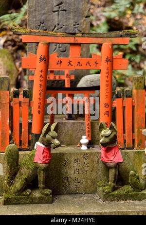 Volpi, Kitsune, in corrispondenza di un piccolo culto privato Tsuka altare del Santuario, uno delle migliaia di piccoli santuari Shintoisti a Fushimi Inari Taisha Sacrario di testa in da Fushi Foto Stock