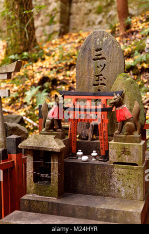 Il culto privato santuario altare, Tsuka, con Kitsune, messenger volpi. Uno dei migliaia di piccoli santuari Shintoisti a Fushimi Inari Taisha Sacrario di testa in Foto Stock
