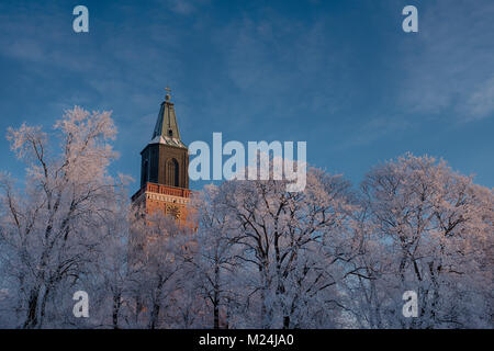 La torre della cattedrale di Turku che salgono sopra il gelo coperto alberi di quercia Foto Stock