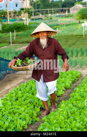 Vecchio contadino su una farm di vegetali al di fuori di Hoi An, Vietnam centrale. Foto Stock