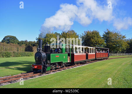 1897 Decauville 0-4-2 locomotiva a vapore Foto Stock