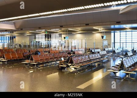 Il Qatar Doha, Hamad International Airport. Lungo i cancelli d'imbarco, un viaggiatore di affari continua a lavorare su un laptop mentre si attende per il suo volo. Foto Stock