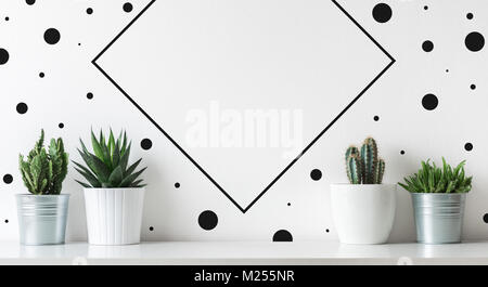 Raccolta di vari cactus e le piante succulente in vasi differenti. Vasi di cactus piante sul ripiano bianco. Scandinavo moderno decor. Foto Stock