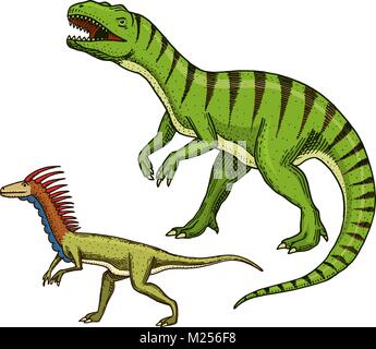 I dinosauri Tyrannosaurus rex, Velociraptor, Ceratosaurus, Afrovenator, Megalosaurus, Tarbosaurus, Struthiomimus scheletri, fossili. Rettili preistorici, animale inciso disegnati a mano vector Illustrazione Vettoriale