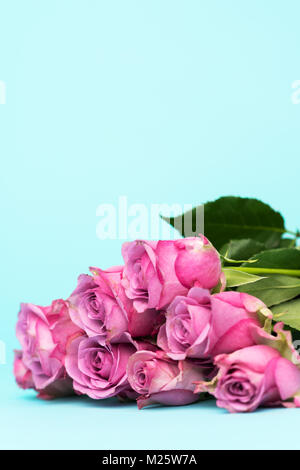 Felice Giornata della Madre, la Giornata della donna, il giorno di San Valentino festa di compleanno o di sfondo. Biglietto di auguri con belle fresche rose rosa e copia di spazio. Foto Stock