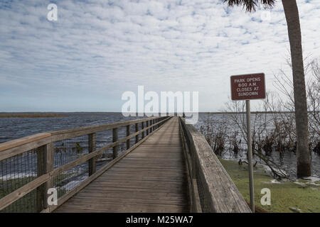 Paynes Prairie preservare parco stradale sulla SR#441 a Gainesville, Florida USA Foto Stock