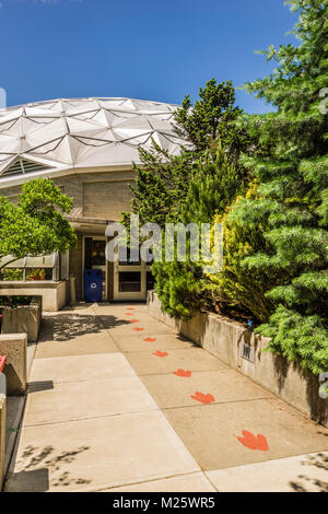 Stato Dinosaur Park   Rocky Hill, Connecticut, Stati Uniti d'America Foto Stock