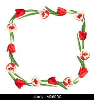 Elemento decorativo con il rosso e bianco tulipani. Bellissimi fiori realistico, boccioli e foglie Illustrazione Vettoriale