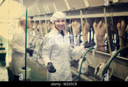 I lavoratori agricoli nel fienile con automatical mucca macchine per la mungitura Foto Stock