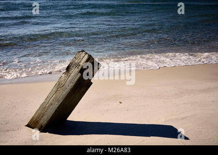 Legname embedded di sabbia su una spiaggia Foto Stock