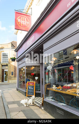 Due white West Highland terrier cani legato e aspettando pazientemente al di fuori di un Reeve il panettiere shop, High Street, Sherborne, Dorset, Regno Unito Foto Stock