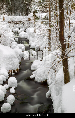 Lunga esposizione della Kleine Ohe, un piccolo ruscello che scorre attraverso i boschi innevati nel Parco Nazionale della Foresta Bavarese in Baviera, Germania. Foto Stock