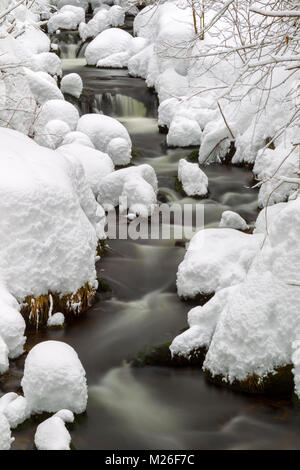 Lunga esposizione della Kleine Ohe, un piccolo ruscello che scorre attraverso i boschi innevati nel Parco Nazionale della Foresta Bavarese in Baviera, Germania. Foto Stock