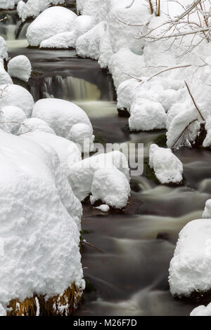 Lunga esposizione della Kleine Ohe, un piccolo ruscello che scorre attraverso i boschi innevati nel Parco Nazionale della Foresta Bavarese in Baviera, Germania. Foto Stock