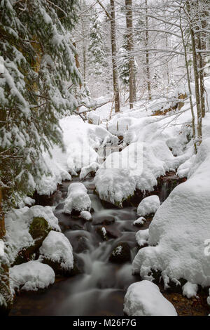 Lunga esposizione della Kleine Ohe, un piccolo ruscello che scorre attraverso i boschi innevati nel Parco Nazionale della Foresta Bavarese in Baviera, Germania. Foto Stock