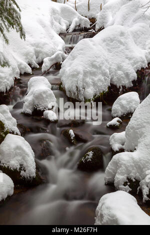 Lunga esposizione della Kleine Ohe, un piccolo ruscello che scorre attraverso i boschi innevati nel Parco Nazionale della Foresta Bavarese in Baviera, Germania. Foto Stock