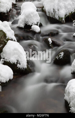 Lunga esposizione della Kleine Ohe, un piccolo ruscello che scorre attraverso i boschi innevati nel Parco Nazionale della Foresta Bavarese in Baviera, Germania. Foto Stock