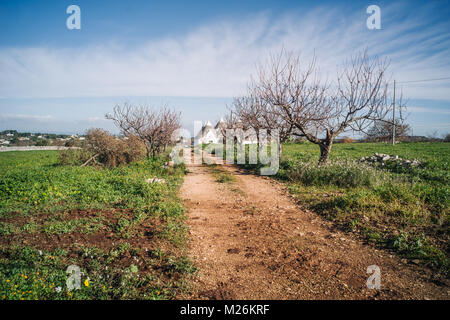 Trulli storiche case in campagna della Puglia sud italia Foto Stock