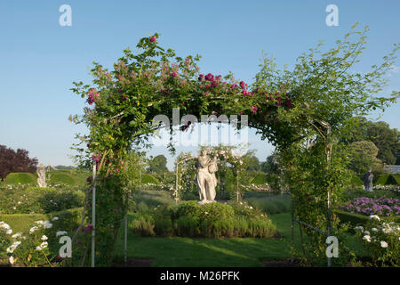 Rosa "Crimson docce' su un arco elaborazione di una statua di pietra nel parterre di rose nel giardino murato a Houghton Hall, King's Lynn, Norfolk, Regno Unito Foto Stock