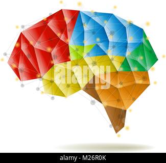 Cervello umano struttura anatomia illustrazione vettoriale. Illustrazione Vettoriale