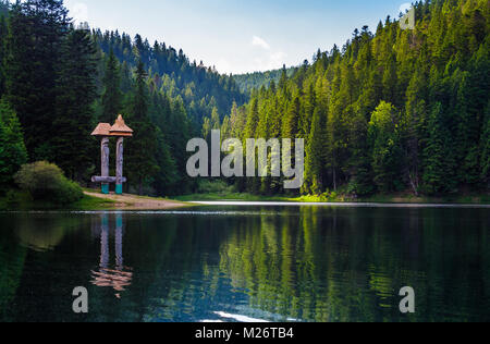 Lo splendido paesaggio del lago Synevyr. foreste di abete rosso nella luce della sera riflette in acque torbide. a basso profilo Foto Stock