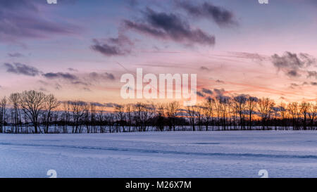 Un campo durante il tramonto in inverno Foto Stock