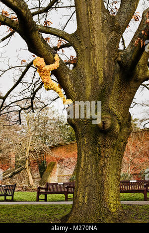 Preso in Waterlow park a nord di Londra. installazione artistica che mostra un fiore 'man' salendo un albero Foto Stock