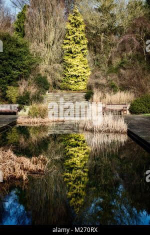Hill Garden Londra Nord. una formale italianamente giardino stile mostra stagno e di riflessione di alberi ecc. Foto Stock