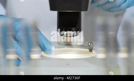 Biochimica studia campione di virus al microscopio in laboratorio, competenza Foto Stock