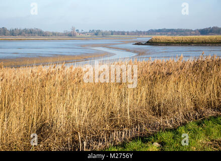 Si snoda nel canale di fango la bassa marea fiume Deben, Kirton Creek, Suffolk, Inghilterra, Regno Unito Foto Stock