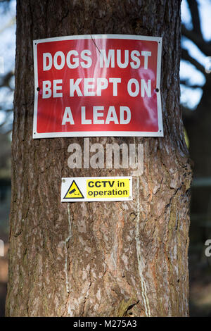 I cani devono essere tenuti al guinzaglio CCTV in segni di operazioni su un albero, Suffolk, Inghilterra, Regno Unito Foto Stock