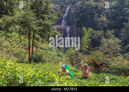 Il tè, pluckers Ramboda Falls, Ramboda, Sri Lanka, Asia Foto Stock