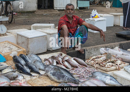Mirissa, porto, Sri Lanka, Asia Foto Stock