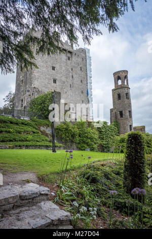 Blarney Castle e giardini, nella contea di Cork, Irlanda Foto Stock