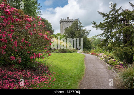 Blarney Castle e giardini, nella contea di Cork, Irlanda Foto Stock