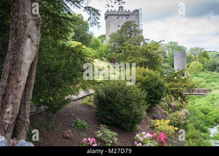 Blarney Castle e giardini, nella contea di Cork, Irlanda Foto Stock