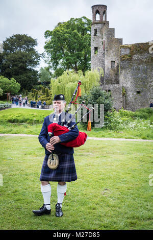 Blarney Castle e giardini, nella contea di Cork, Irlanda Foto Stock