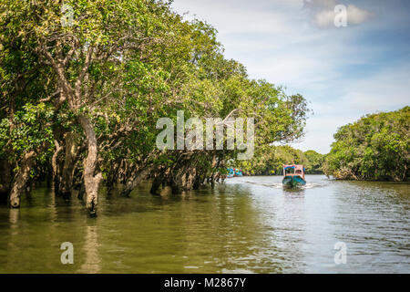 Imbarcazione turistica passando attraverso gli alberi allagati sul modo di lago Tonle Sap da Kampong Phluk villaggio galleggiante, Siem Reap Provincia, in Cambogia. Foto Stock