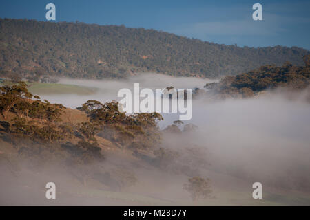 Il paesaggio che mostra la mattina presto nebbia nella valle sopra il fiume Avon con la provincia colline e alberi su view toodyay western australia australia Foto Stock