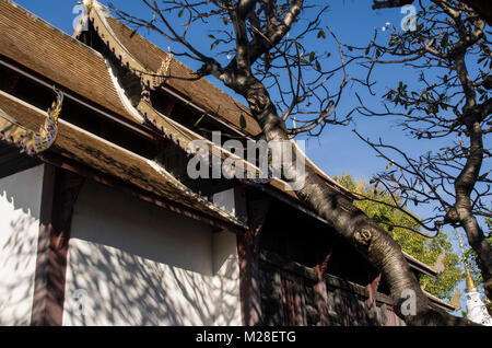 Wat Prasart Chiangmai Thailandia,vecchio tempio a Chiangmai Thailandia Foto Stock