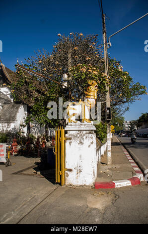 Wat Prasart Chiangmai Thailandia,vecchio tempio a Chiangmai Thailandia Foto Stock