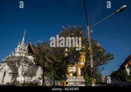 Wat Prasart Chiangmai Thailandia,vecchio tempio a Chiangmai Thailandia Foto Stock