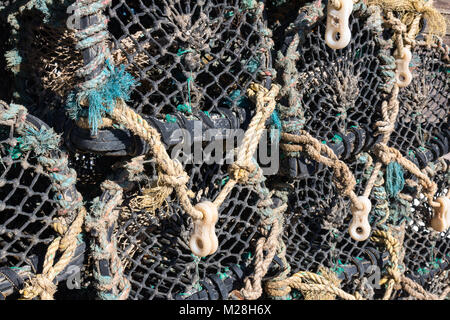 Swanage Dorset Inghilterra 17 aprile 2016 Lobster Pot presso il piccolo porto di pesca Foto Stock