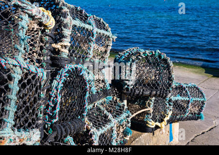 Swanage Dorset Inghilterra 17 aprile 2016 Lobster Pot presso il piccolo porto di pesca Foto Stock