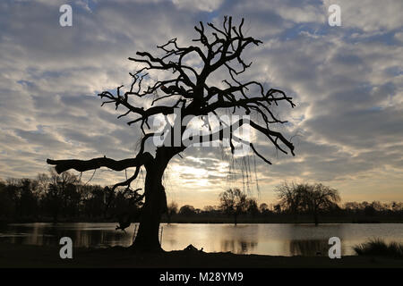 Il 6 febbraio 2018. Bushy Park, Hampton Court, Londra, Regno Unito. Nuvoloso e molto freddo all'Heron Pond. Credito: Ian bottiglia/Alamy Live News Foto Stock