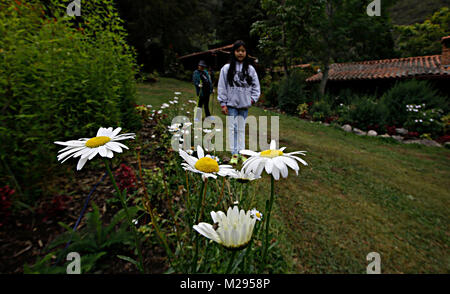 4 gennaio 2016 - EscagÅ'Ey, Merida, Venezuela - 25 gennaio 2016. Cabine Micata, nella città di Escaguey, in Merida, Venezuela. Foto: Juan Carlos Hernandez Credito: Juan Carlos Hernandez/ZUMA filo/Alamy Live News Foto Stock