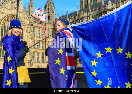 Westminster, Londra, Regno Unito. 6 febbraio 2018. Il quotidiano SODEM (Stand di Defiance Movimento Europeo) azione vede la protesta anti-brexit e pro-UE gli attivisti protestare sotto il sole di oggi. Credito: Imageplotter News e sport/Alamy Live News Foto Stock